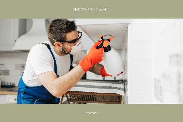 PEST CONTROL Crosbyton